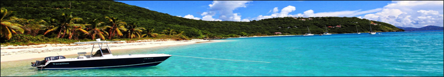 caribbean beach